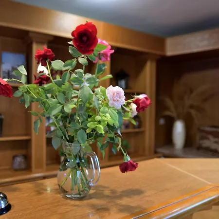 Hill Town Family Hotel